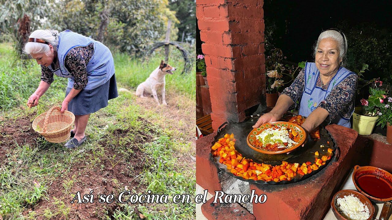 ENCHILADAS ROJAS RANCHERAS Bien Sabrosas Con Lo Que Tenemos En El Rancho