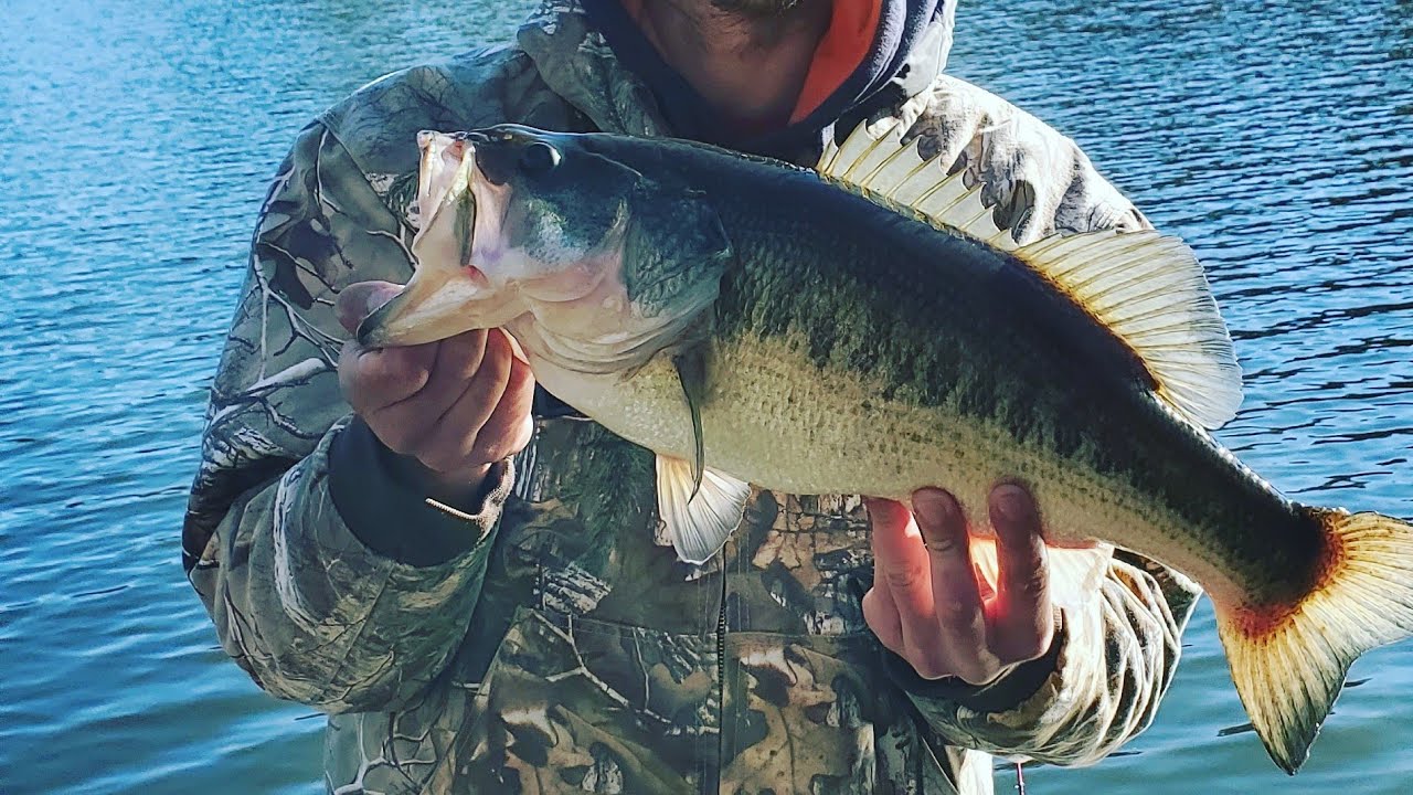 Catching Big Winter Bass! On The Chatter Bait!