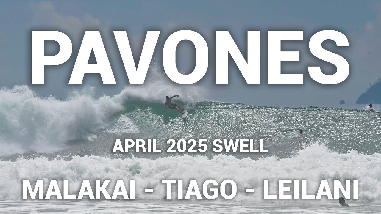 Chasing Perfection: Pavones April 2025 Swell (Surf Costa Rica) Great waves for days