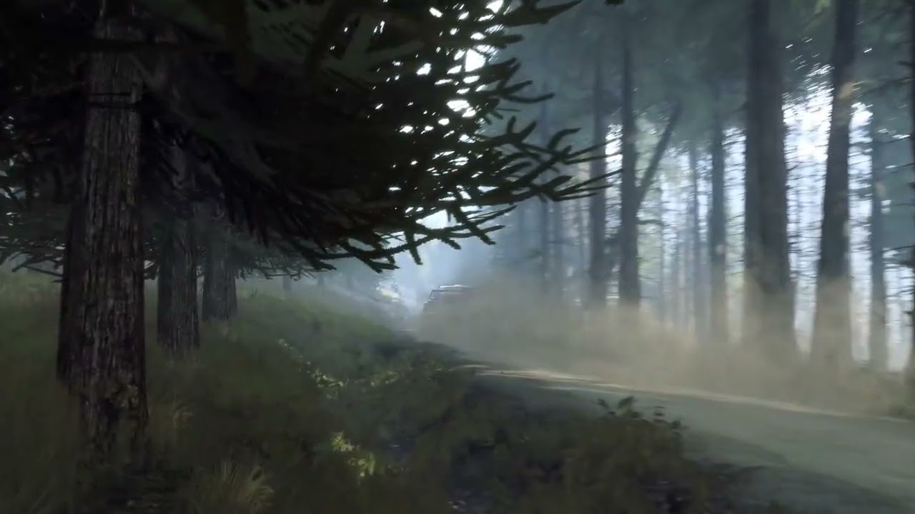 Dirt Rally 2.0-Subie flat out in Scotland!!!