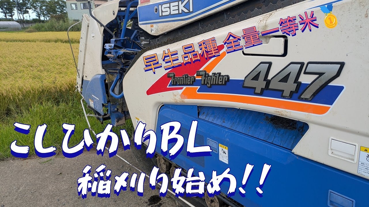 絶賛コシヒカリの刈り取り中！！ベアリング飛ぶ、テンション固着、鬼滅の刃見るの波乱万丈な日々を