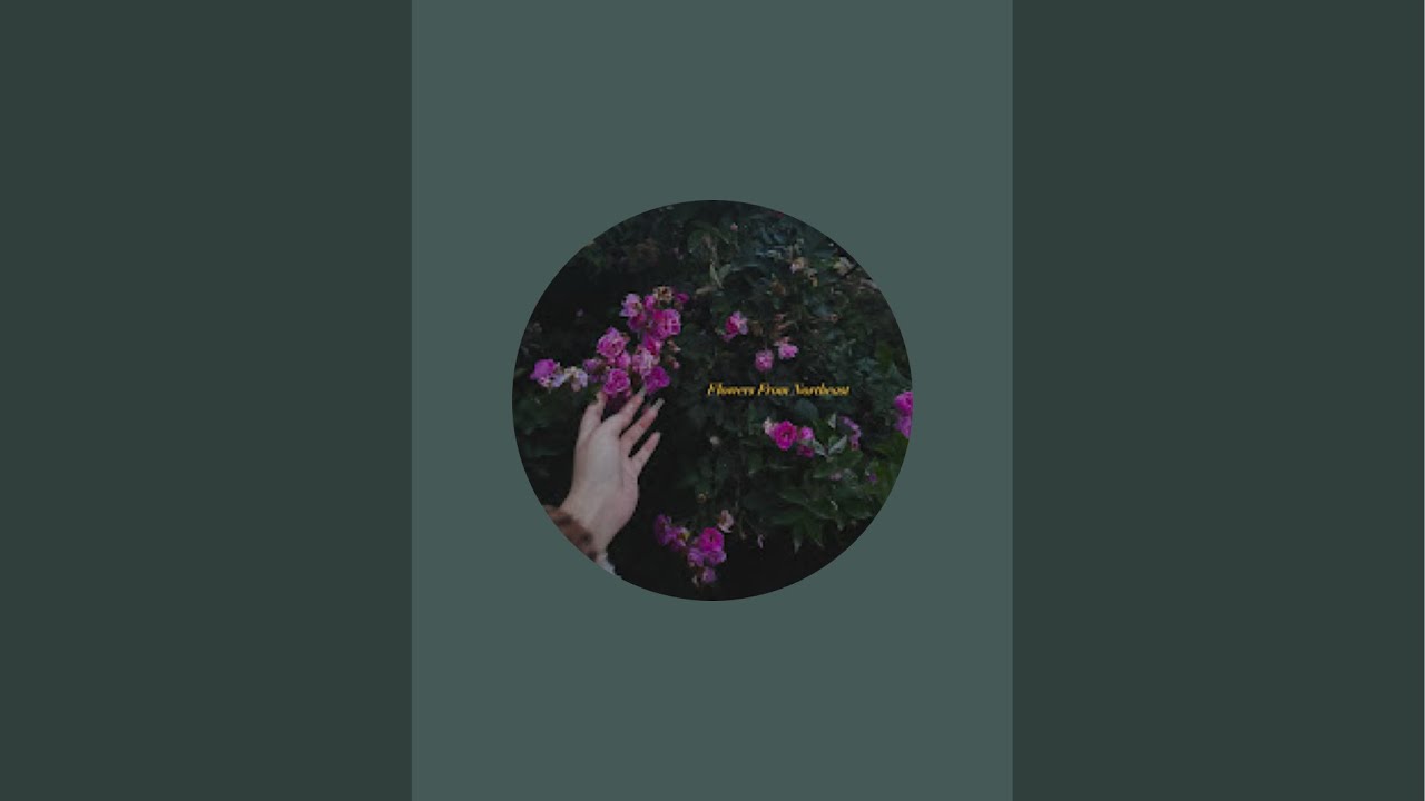 Flowers From Northeast is live