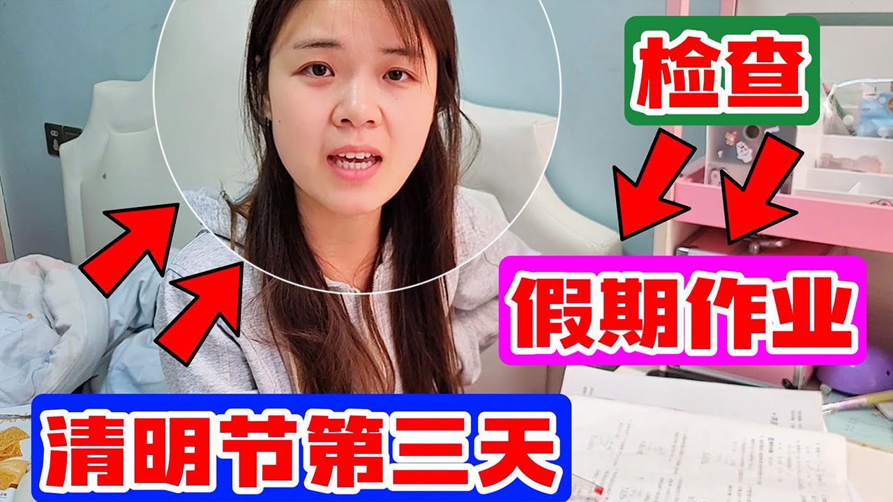 清明节假期最后一天作业还没写玩就看电视，真是皮痒痒了