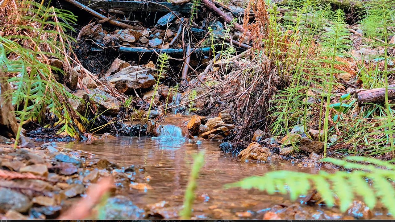 Relaxing Nature Sounds - 25 min. Calming Sounds of Water, White Noise, Sleep, Study, Meditation