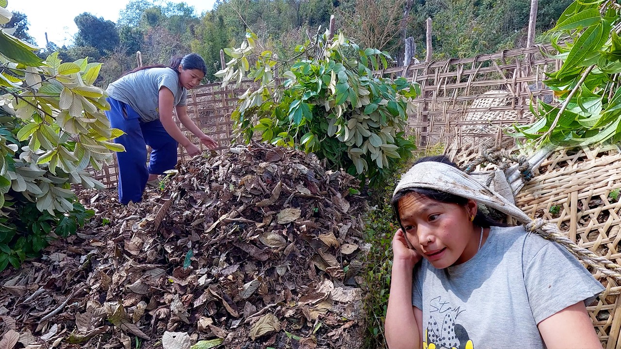 manjita Rai is busy in her day time || Himalayan life of Nepal || @manjitacooking