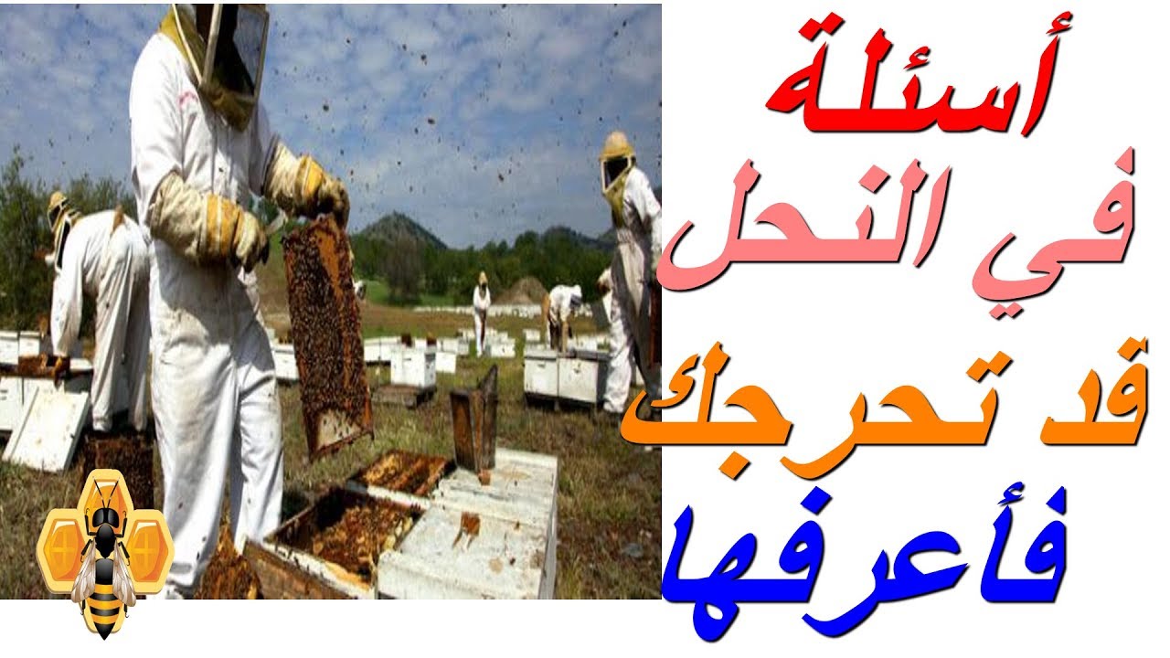 اسئلة في النحل ان طرحت عليك قد تحرجك