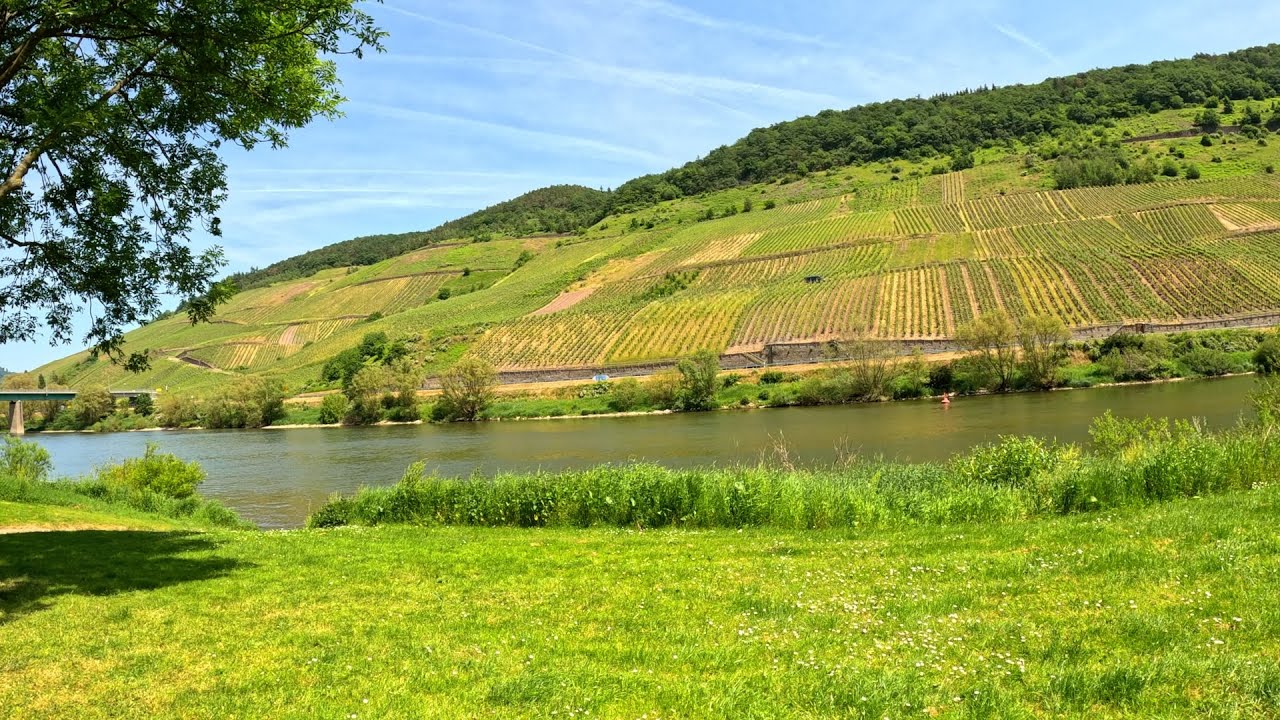 Magische Mosel: Reil in Rheinland-Pfalz – Eine atemberaubende 4K Reise #mosel #reil