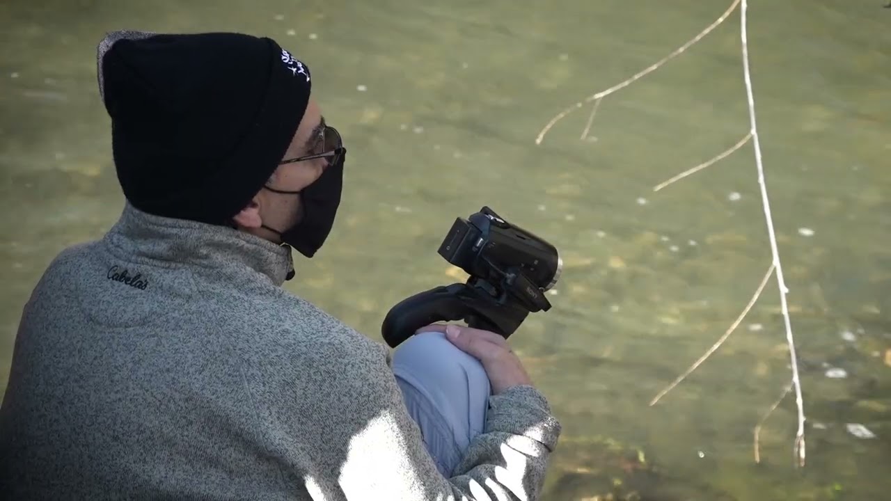 Searching for Salmon | Bay Area Bountiful