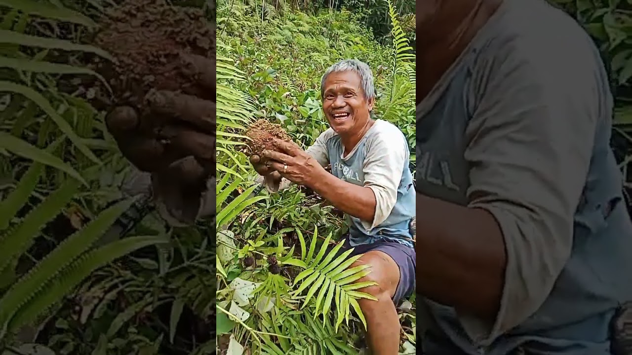 Mga mote sa DATAG /Felizardo Carson 