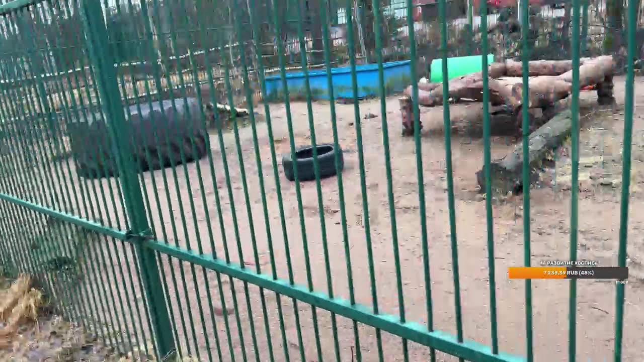 Старт?
