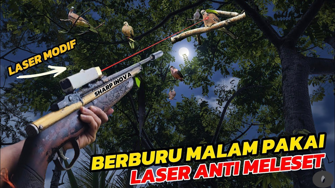 Panen Buruan Malam Hari Anti Melset!! Berburu Dengan Laser Rakitan Di Hutan Angker Hasil Melimpah