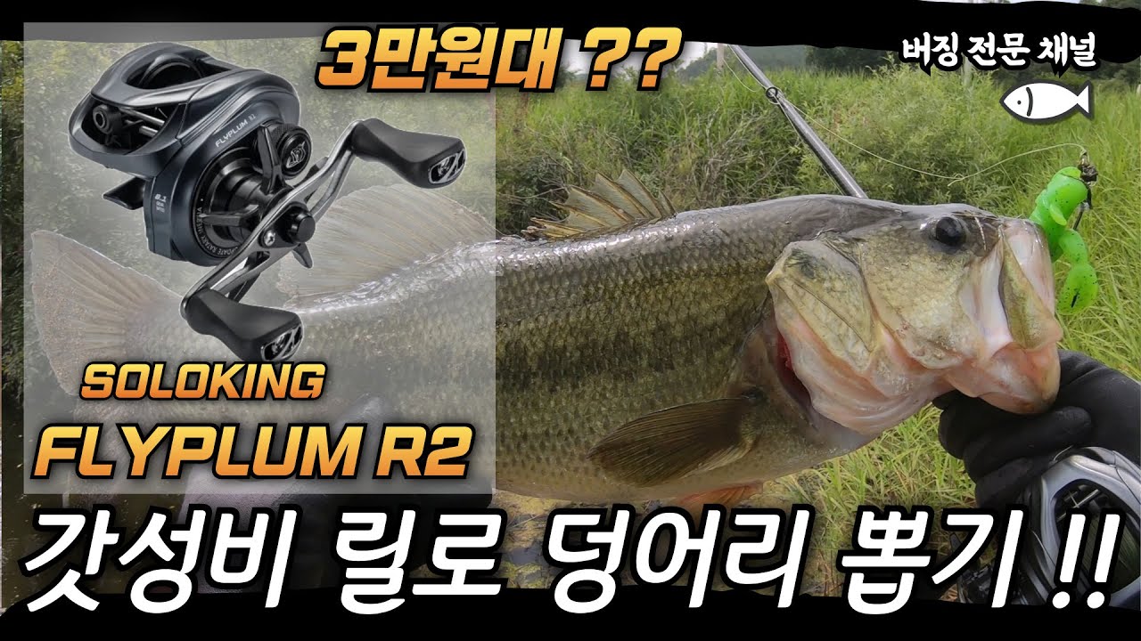 3만원대 릴로 버징을 했더니 ... 갓성비 버징릴 알리익스프레스 솔로킹 FLYPLUM R2(Aliexpress Soloking)