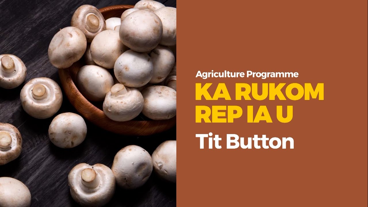 AGRICULTURE PROGRAM KA RUKOM REP IA U TIT BUTTON