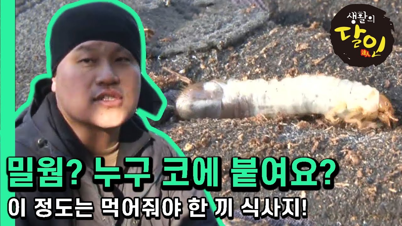 [생활의 달인] 무요? 성형외과 의사가 애벌레 먹는거 첨 봐요?!│Ep.357