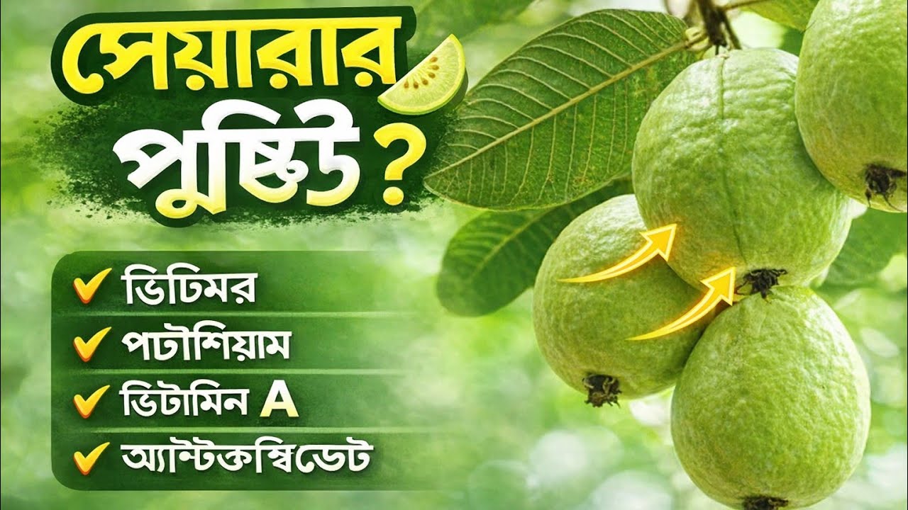 পেয়ারা থেকে কি কি পুষ্টি পাওয়া যায়? Guava Nutrition Benefits in Bangla |পেয়ারার উপকারিতা
