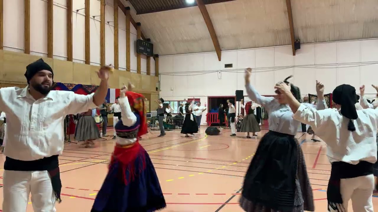 Cana verde dos galos - Festival de Villeparisis