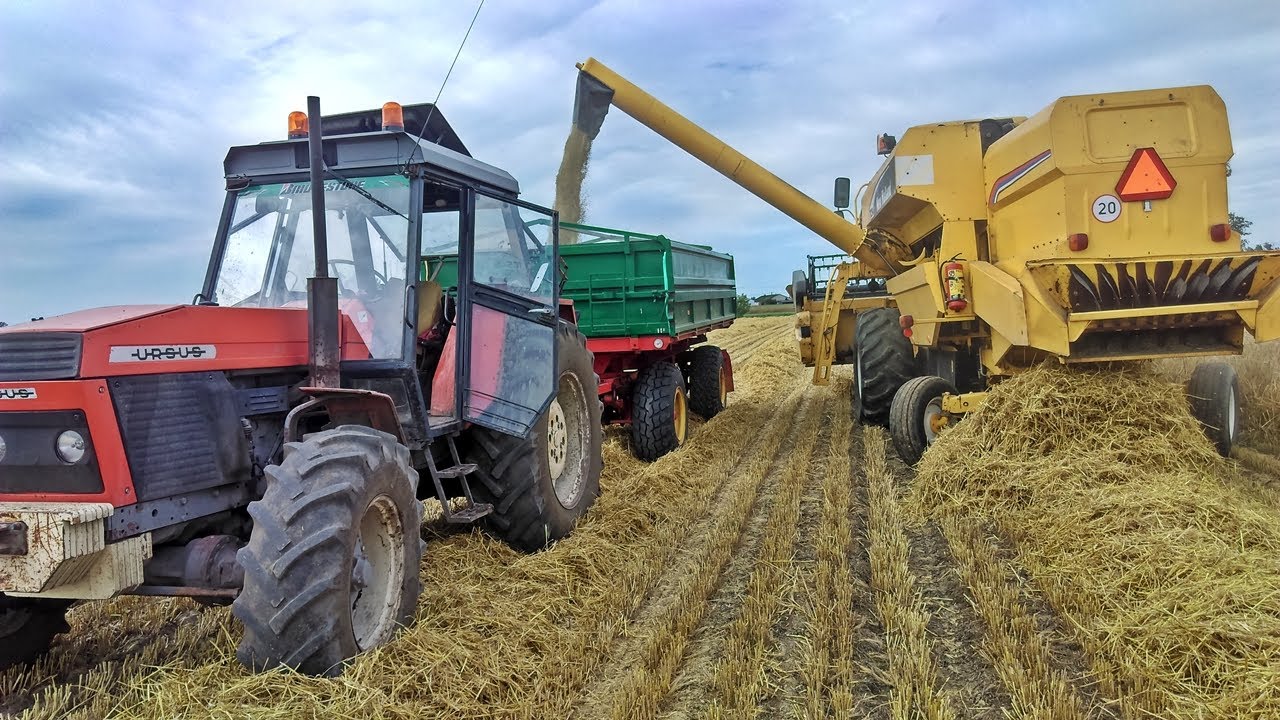 Żniwa Jęczmienia Ozimego 2017 ! New Holland TC54 & Ursus