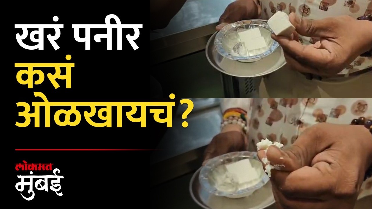 खरं पनीर नेमकं ओळखायचं कसं? पनीर अ&zwj;ॅनालॉग काय प्रकार? Real Paneer vs Analogue Paneer