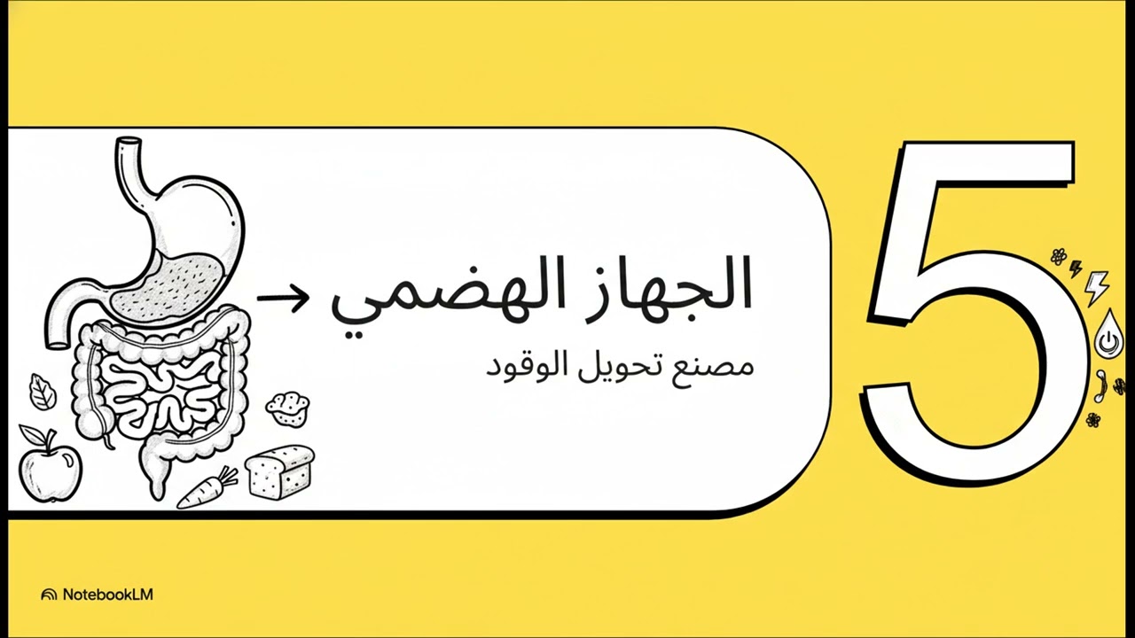 1 أساسيات علم التشريح