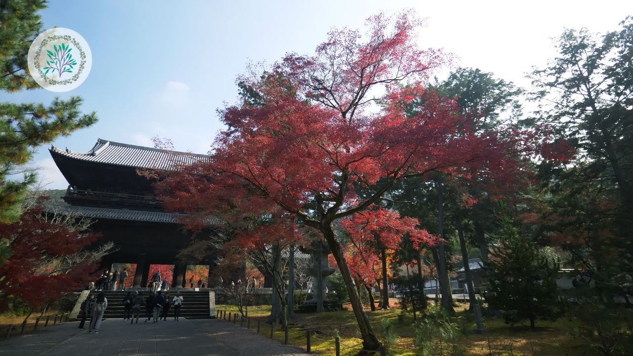 Beautiful Nanzenji Temple and Aqueduct | Nature Scenery Documentary 4K