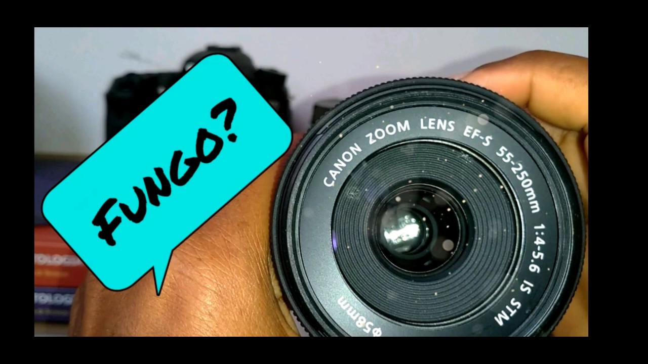 Como eliminar FUNGO de sua lente Canon 18-55 ou 55-250 / EM CASA!