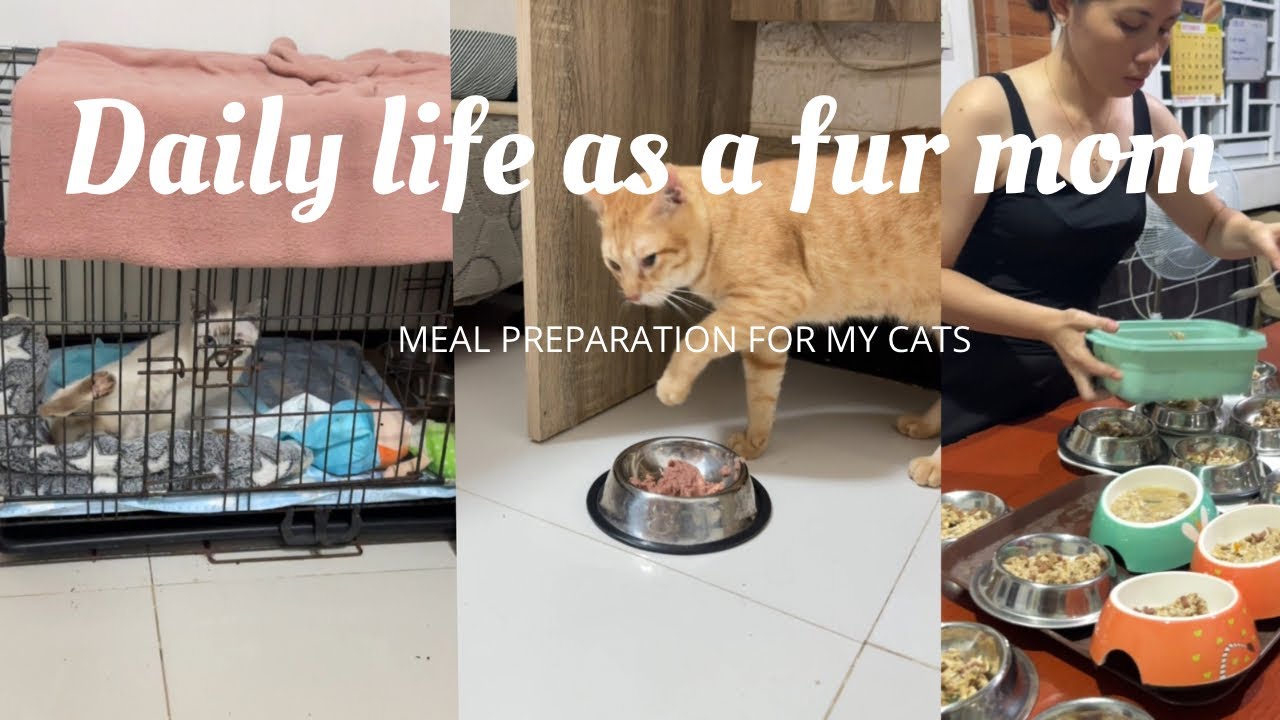 NAKASABIT ANG PAA NI CHUCHAY PLUS BUONG ARAW NA GANAP😻 | FURMOM VLOG 🇵🇭