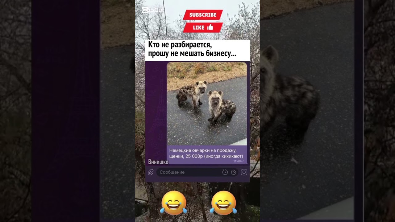 #шуточное #смехпродлеваетжизнь