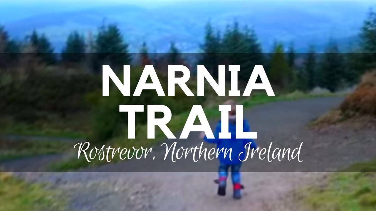 Narnia Trail - CS Lewis - Rostrevor Northern Ireland