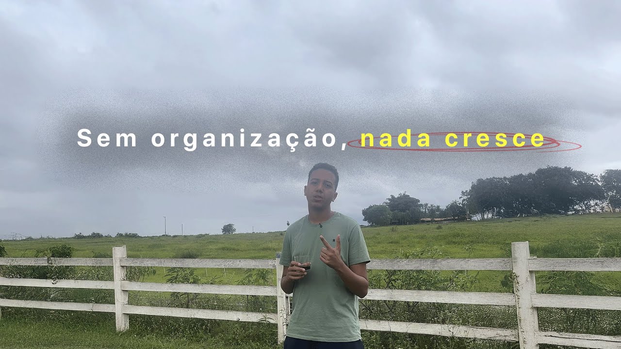 Organização vem antes do crescimento