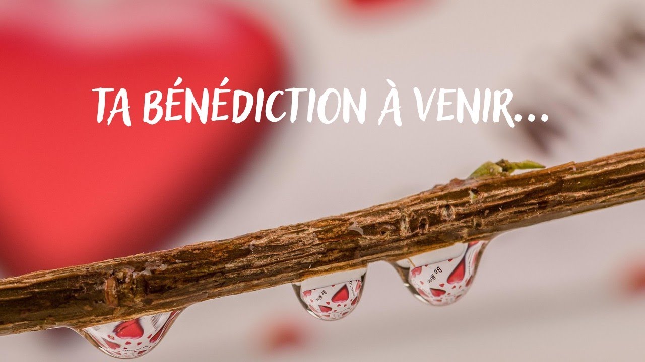 TA BÉNÉDICTION À VENIR🍀...PAS À PAS vers le ♥️ 