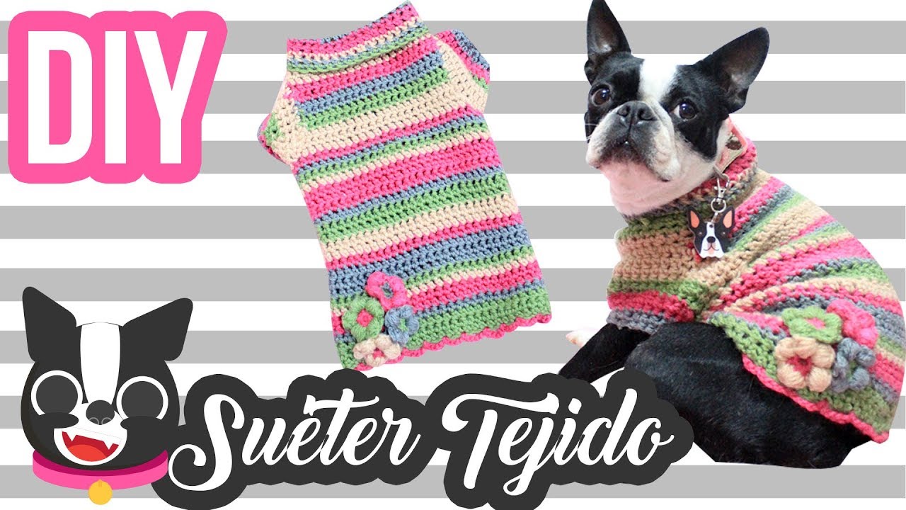 DIY l Suéter Tejido para perro