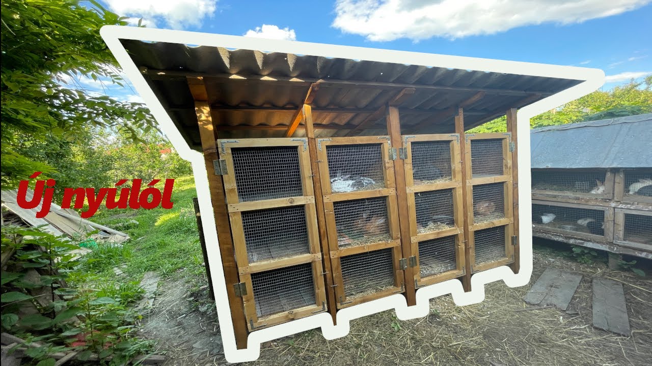Nyúl állományom 2. rész + új nyúlól