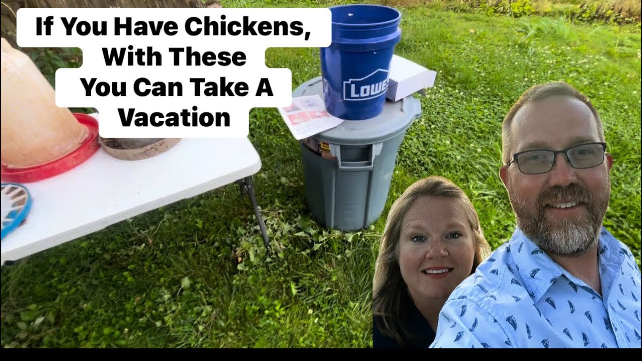 EASY WATERING and FEEDING CHICKENS while on VACATION or everyday  #chickens #garden  #homestead