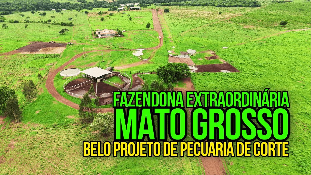 FAZENDA DE DUPLA APTIDÃO À VENDA, PECUÁRIA DE CORTE EM NOVA XAVANTINA-MT