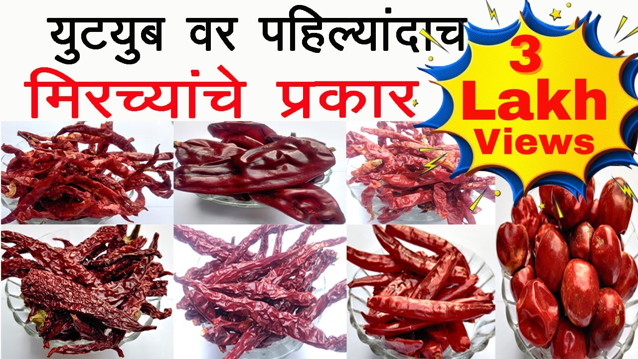 मिरच्यांचे प्रकार | मसाला बनवण्याआधी जरूर पहा  | 3 Lac + views | Types of Red Chillies in India