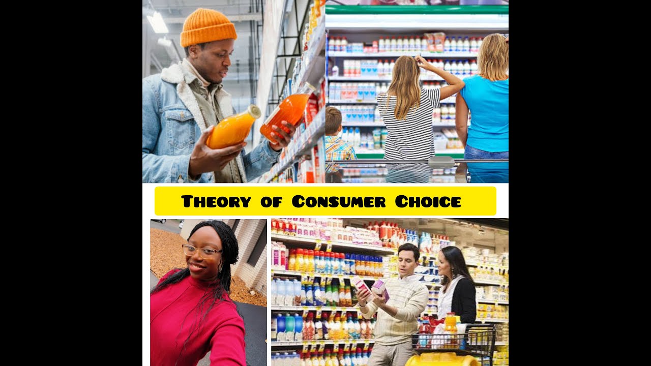 Ch 22 Micro: Theory of Consumer Choice
