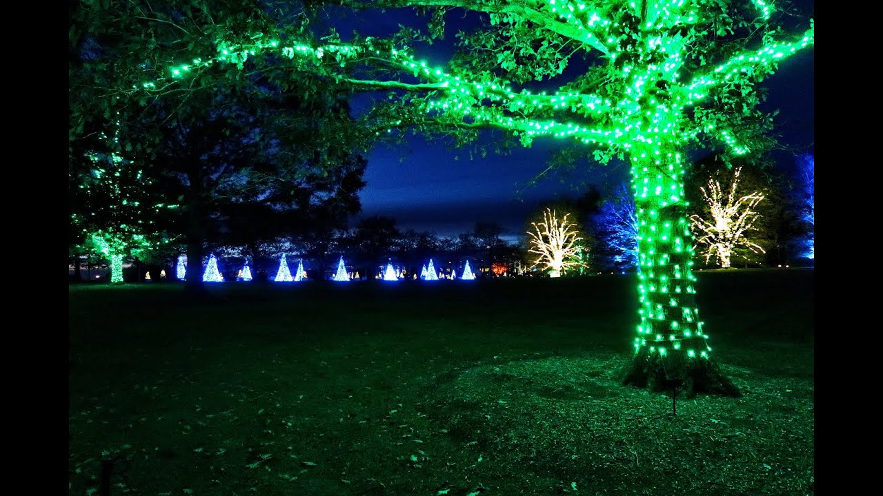 Christmas at Longwood Gardens - 2021