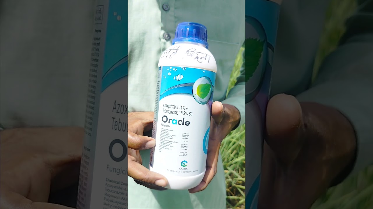 Oracle Cubic Azoxystrobin 11% & Tebuconazole 18.3% w/w #fungicides