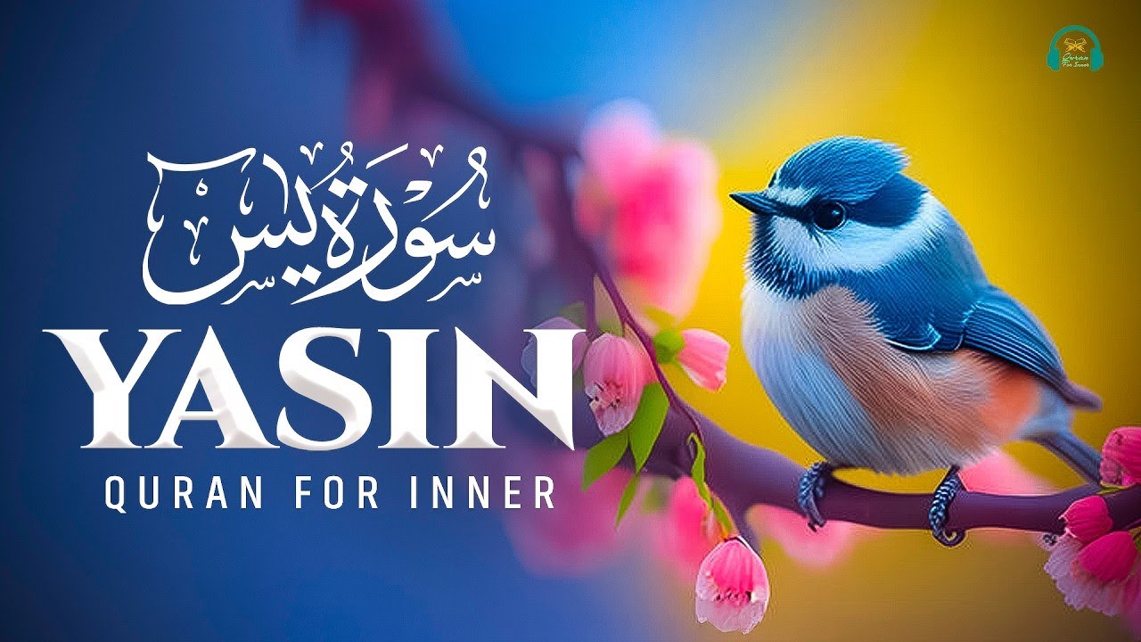 Surah Yaseen Full سورة يس | Soothing & Beautiful Recitation for Inner Peace | Reciter Alaa Aqel