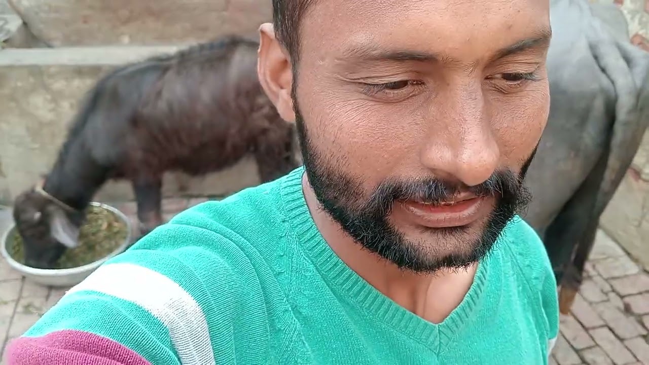Please like karo bhai 