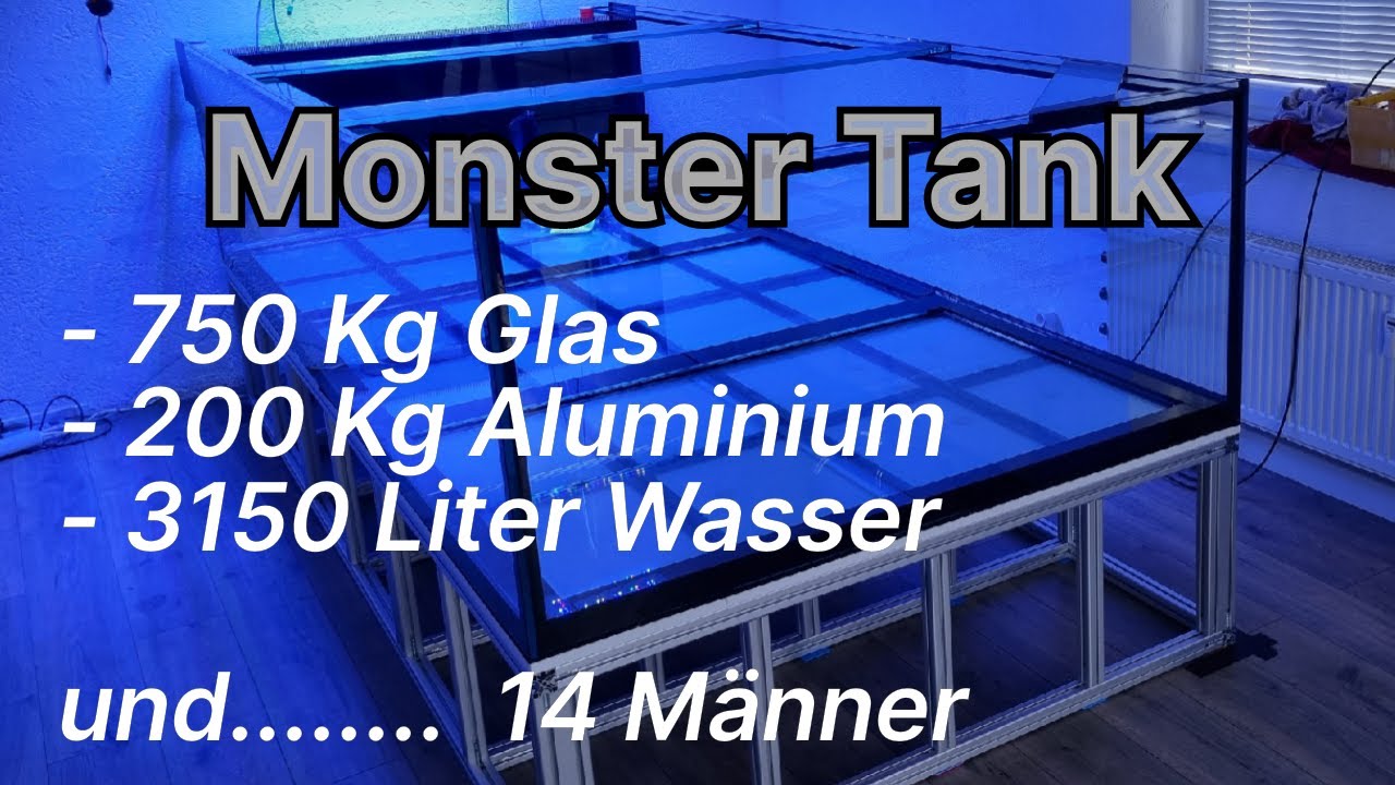 Das gr&ouml;&szlig;te Aquarium in der Geschichte von AquaEmotions (Bis jetzt)