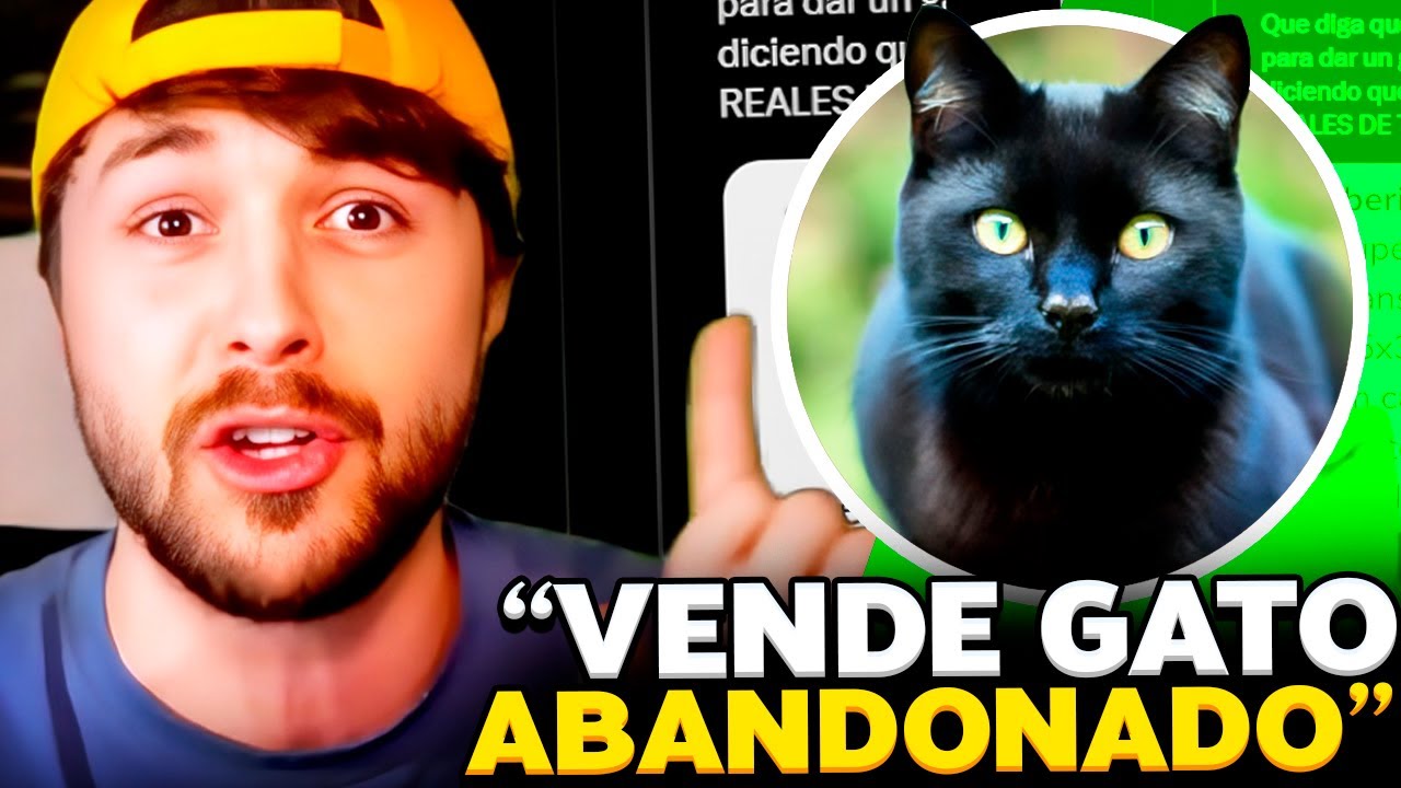 GRAVE DENUNCIA A DALAS POR RECOGER A UN GATO DE LA CALLE