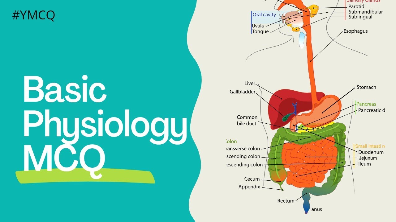 Basic Physiology MCQ | 25 MCQs |