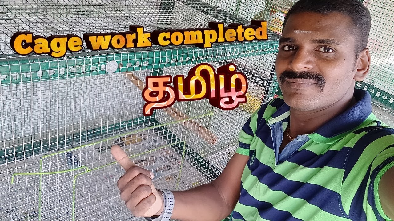cage work completed for jenday conure pair