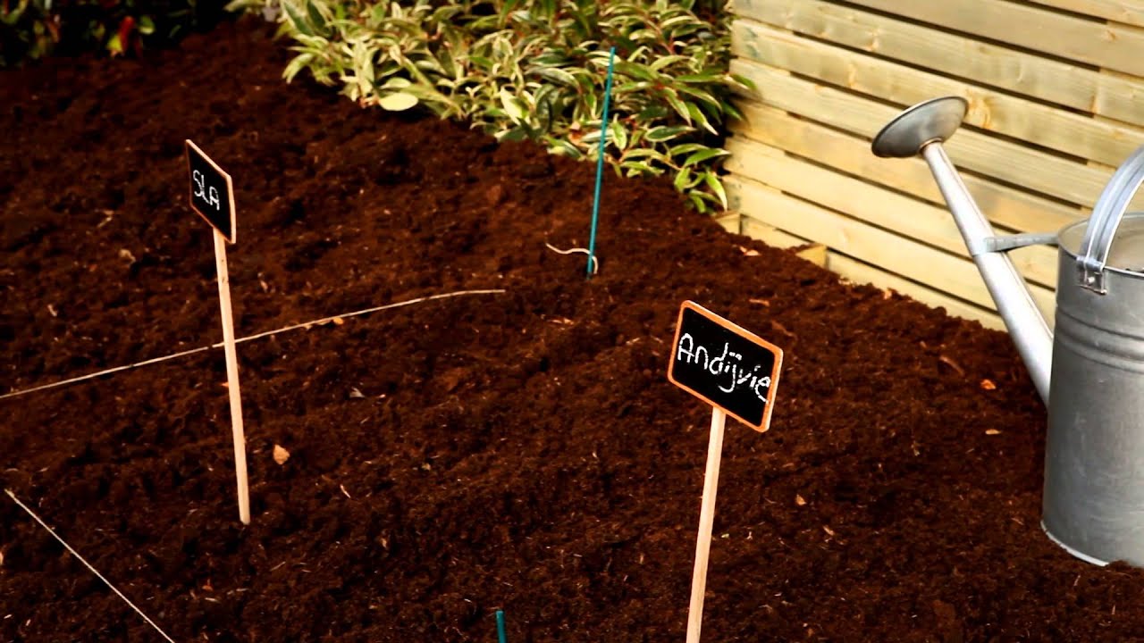 Hoe maak ik een indeling voor mijn moestuin?