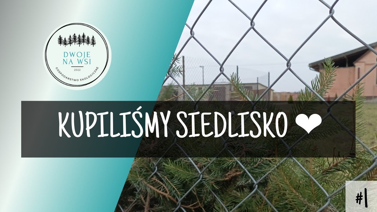 #1 Kupiliśmy siedlisko - pierwszy spacer, wycięte drzewa, kornik betonowy