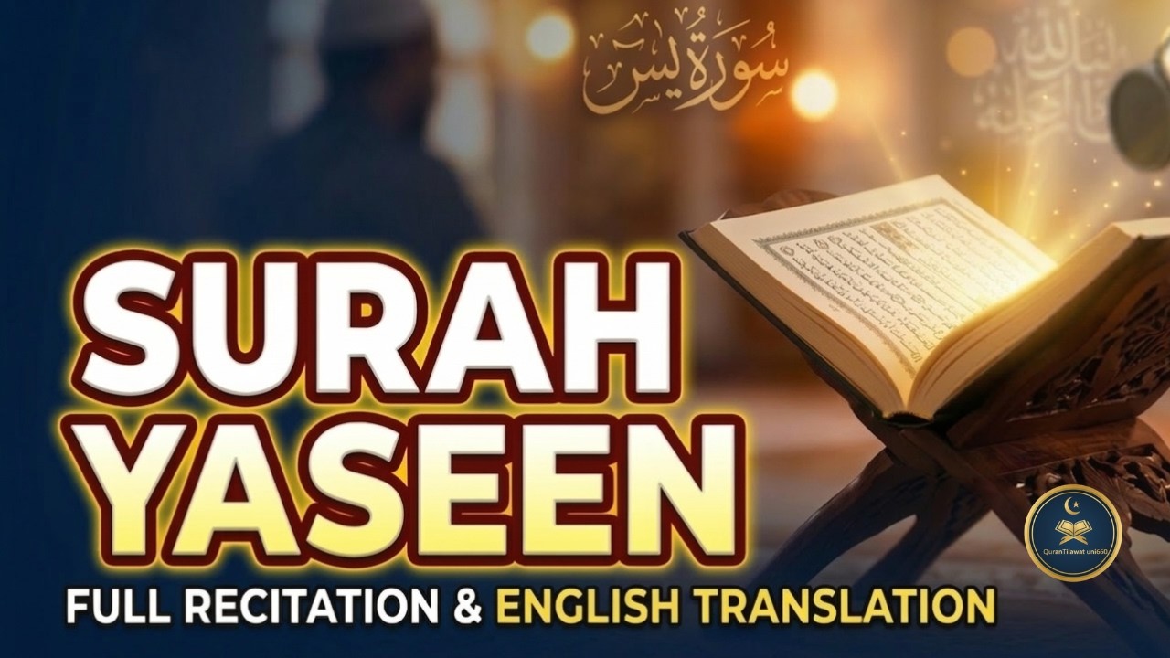 🔴 LIVE Surah Yaseen with English Translation | Beautiful Quran Recitation for Peace & Blessings