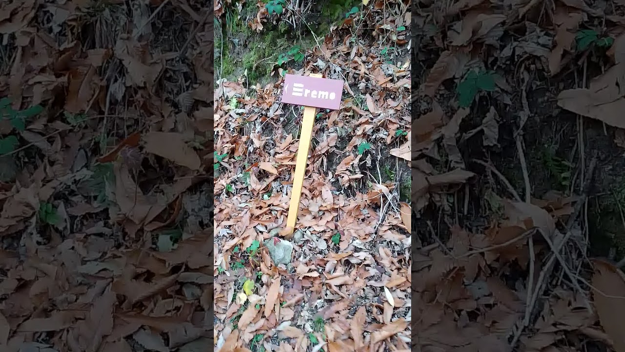Da torreglia alta all'eremo camaldolese in cima al monte rua!