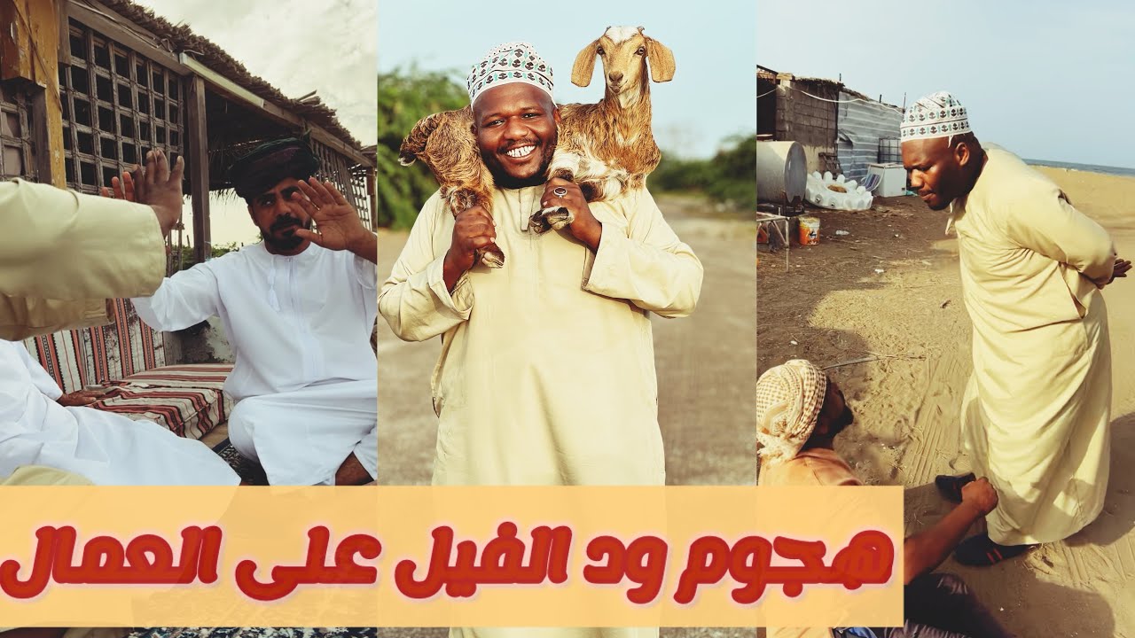 ود الفيل هجم على العمال يضاربهم🥺