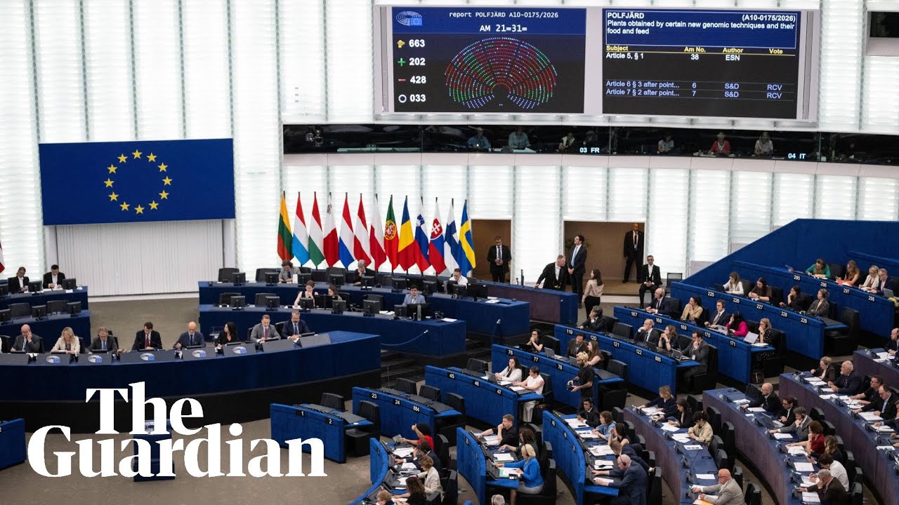 Rightwing MEPs chant 'send them back' after controversial deportation plans are passed